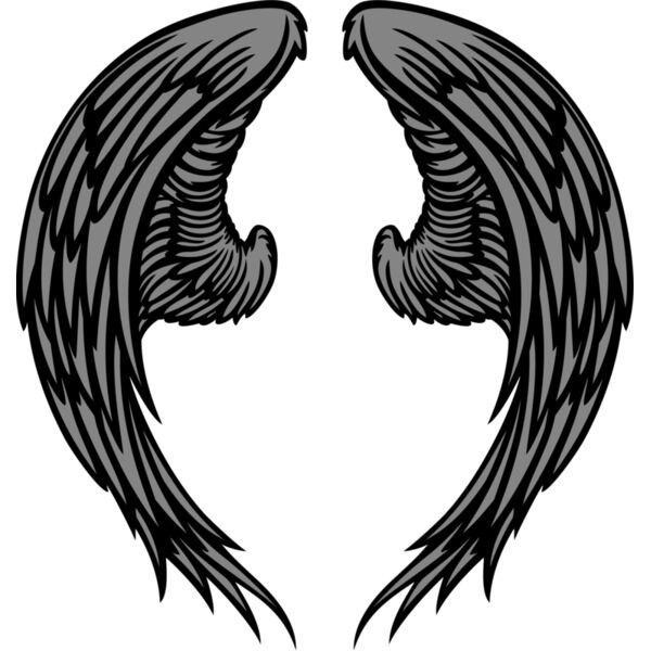 ES3wing06clr Thumbnail