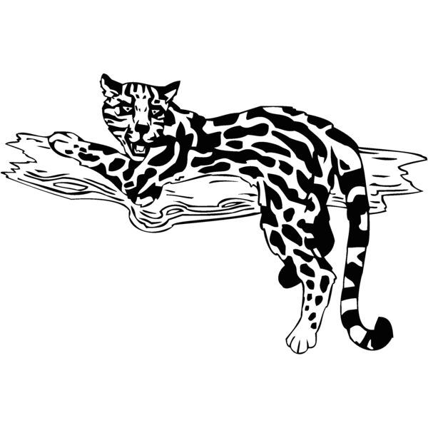 ocelot Thumbnail