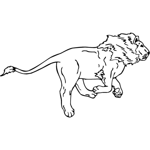 lion2 Thumbnail