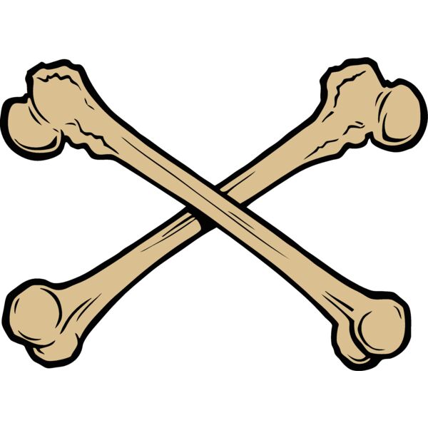 esbones002clr Thumbnail