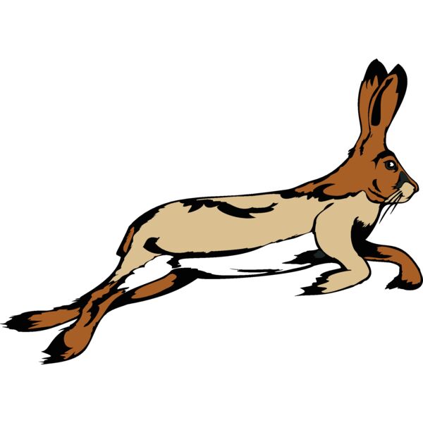 rabbit05v4clr  2  Thumbnail