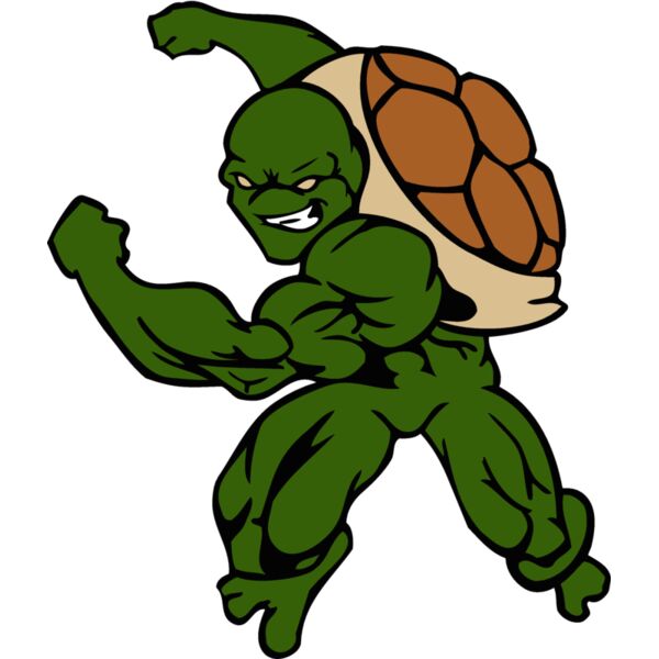 athleticturtle Thumbnail