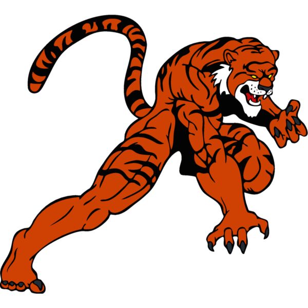 tigermsct 4 Thumbnail