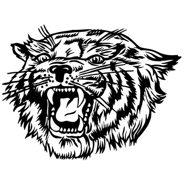 bobcathead02 Thumbnail