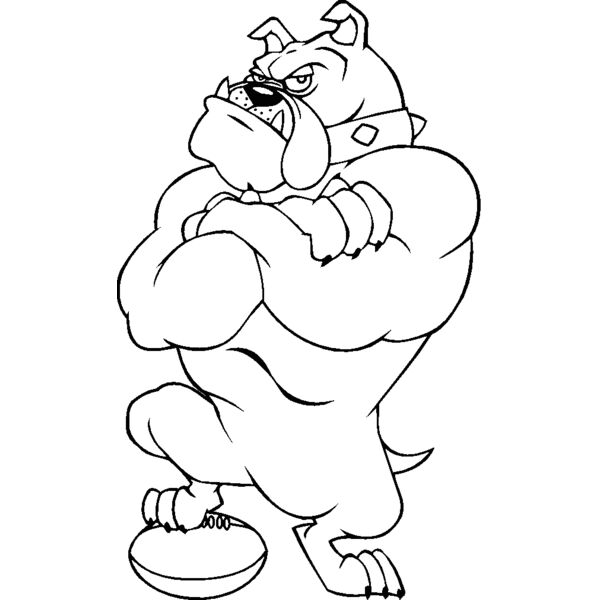 bulldogrugby Thumbnail