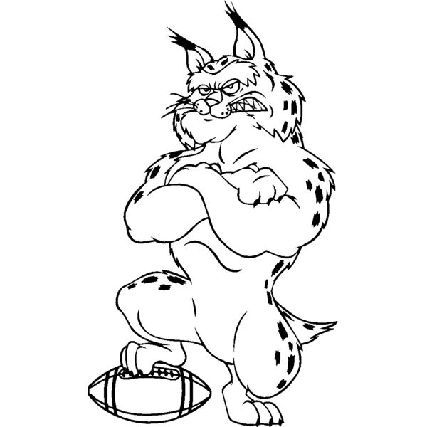 bobcatftblbns Thumbnail