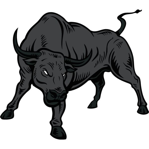 bull11v4clr Thumbnail