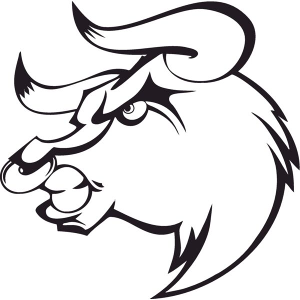 bull12v4bw Thumbnail