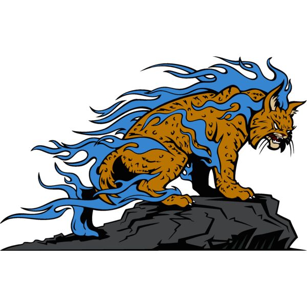 wildcatflmej021 Thumbnail