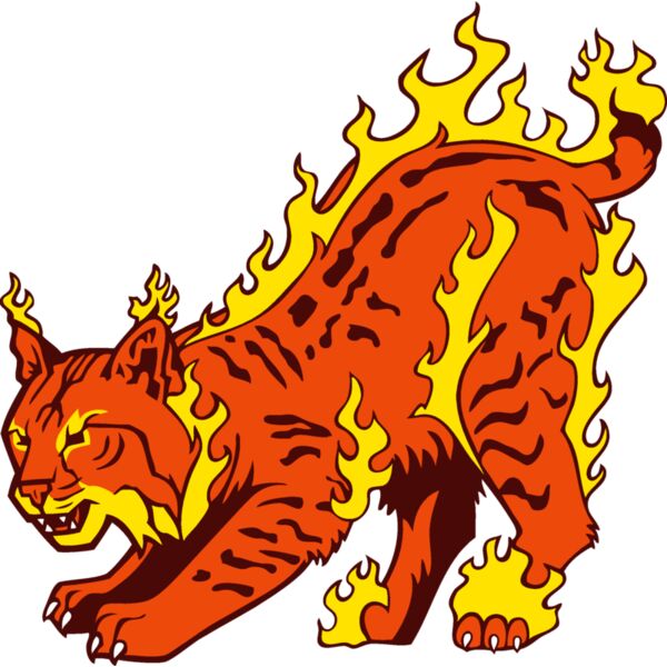 wildcatflm01 Thumbnail